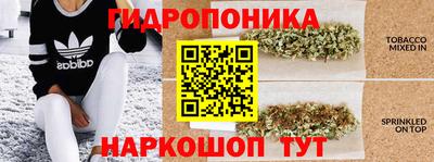 прущие крисы Усть-Илимск